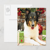 Cartes Pour Fêtes Annuelles Noël - Sheltie - de dentelle (Devant / Derrière)