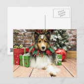 Cartes Pour Fêtes Annuelles Noël - Sheltie - duchesse (Devant / Derrière)