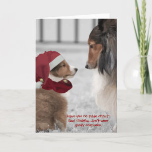 Cartes Pour Fêtes Annuelles Noël Shelties