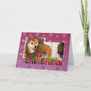 Cartes Pour Fêtes Annuelles Noël - Shiba Inu Photocard