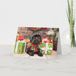 Cartes Pour Fêtes Annuelles Noël - Shih Tzu - lis