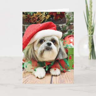 Cartes Pour Fêtes Annuelles Noël - Shih Tzu - truc