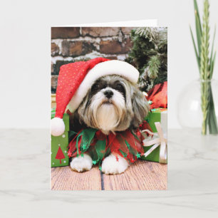 Cartes Pour Fêtes Annuelles Noël - Shih Tzu - Vince