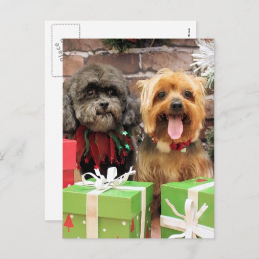 Cartes Pour Fêtes Annuelles Noël - Shih Tzu X Maggie - Yorkie Pixie (Devant / Derrière)