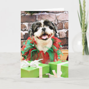 Cartes Pour Fêtes Annuelles Noël - Shih Tzu X - Sunny