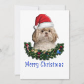 Cartes Pour Fêtes Annuelles Noël Shitzu (Devant)