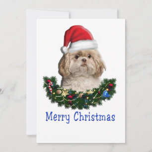 Cartes Pour Fêtes Annuelles Noël Shitzu