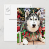 Cartes Pour Fêtes Annuelles Noël - Siberian Husky - Nika (Devant / Derrière)