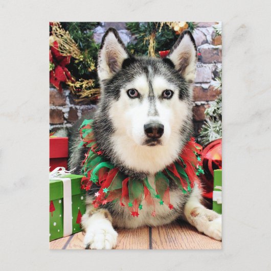 Cartes Pour Fêtes Annuelles Noël - Siberian Husky - Nika (Devant)
