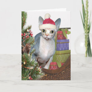 Cartes Pour Fêtes Annuelles Noël Sphynx