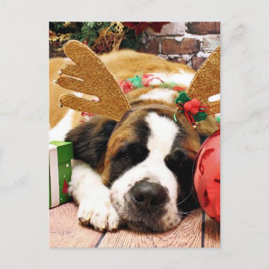 Cartes Pour Fêtes Annuelles Noël - St Bernard - bleu (Devant)