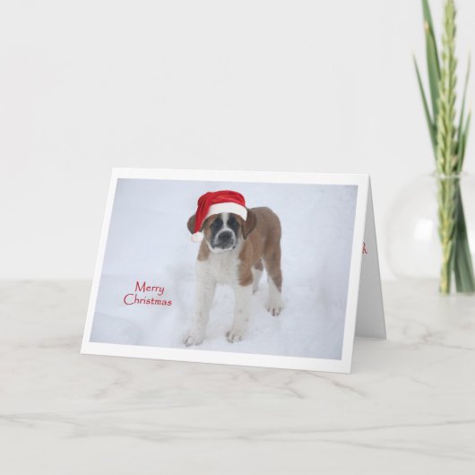 Cartes Pour Fêtes Annuelles Noël St Bernard Puppy (Devant)