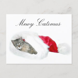 Cartes Pour Fêtes Annuelles Noël Tabby kitten