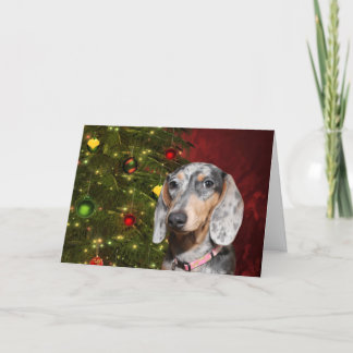 Cartes Pour Fêtes Annuelles Noël tacheté de teckel