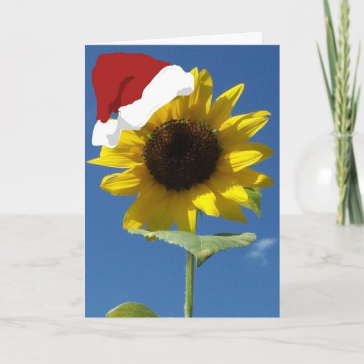 Cartes Pour Fêtes Annuelles Noël tardif (Devant)