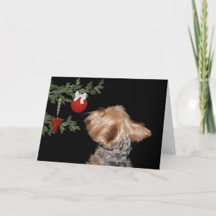 Cartes Pour Fêtes Annuelles Noël tenté de Yorkie