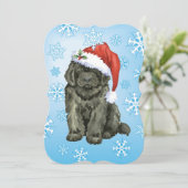 Cartes Pour Fêtes Annuelles Noël Terre-Neuve (Debout devant)