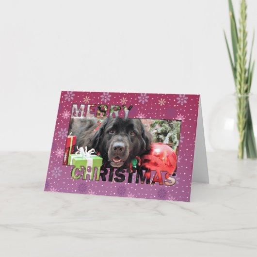 Cartes Pour Fêtes Annuelles Noël - Terre-Neuve - Izzie (Devant)