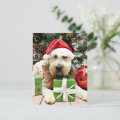 Cartes Pour Fêtes Annuelles Noël - Terrier blond comme les blés - Bailey (Debout devant)