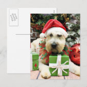 Cartes Pour Fêtes Annuelles Noël - Terrier blond comme les blés - Bailey (Devant / Derrière)