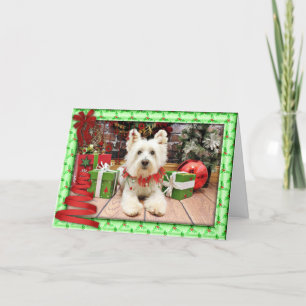 Cartes Pour Fêtes Annuelles Noël - Terrier des montagnes occidental - polo