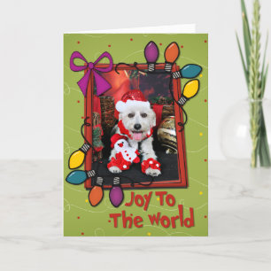 Cartes Pour Fêtes Annuelles Noël - Terrier X - Turley