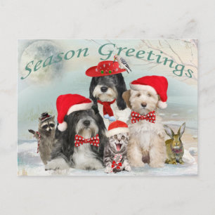Cartes Pour Fêtes Annuelles Noël Tibétain Terrier Avec Des Amis