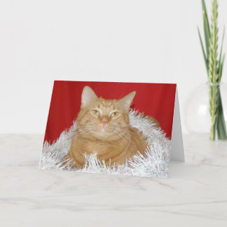 Cartes Pour Fêtes Annuelles Noël tigré orange