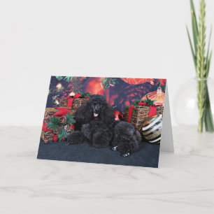 Cartes Pour Fêtes Annuelles Noël - Toby - caniche