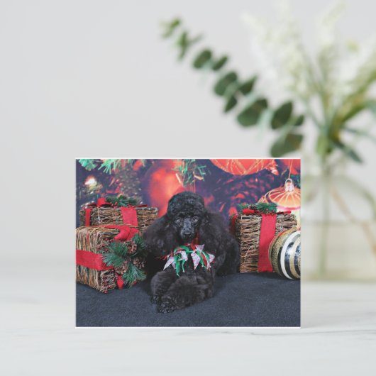 Cartes Pour Fêtes Annuelles Noël - Toby - Poodle (Debout devant)