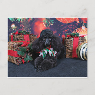 Cartes Pour Fêtes Annuelles Noël - Toby - Poodle