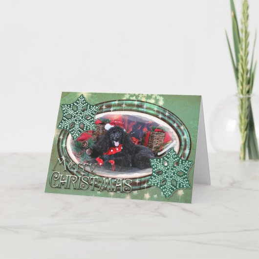 Cartes Pour Fêtes Annuelles Noël - Toby - Poodle (Devant)