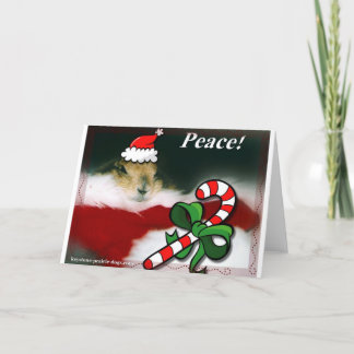 Cartes Pour Fêtes Annuelles Noël trapézoïdal de chien de prairie