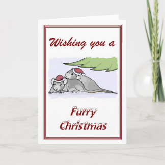Cartes Pour Fêtes Annuelles Noël velu