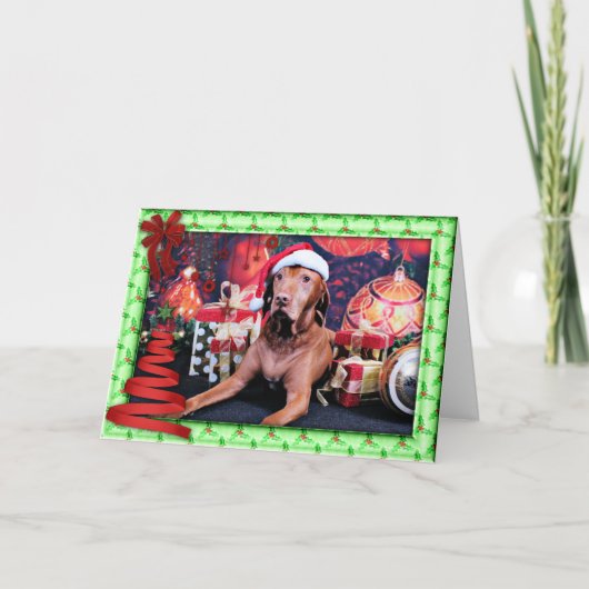 Cartes Pour Fêtes Annuelles Noël - Vizsla - Budda (Devant)