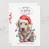 Cartes Pour Fêtes Annuelles Noël Voeux Chien Chiot Baisers Joli Animal Personn (Devant / Derrière)