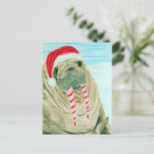 Cartes Pour Fêtes Annuelles Noël Walrus (Debout devant)
