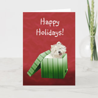 Cartes Pour Fêtes Annuelles Noël Westie