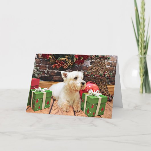 Cartes Pour Fêtes Annuelles Noël - Westie - Callie (Devant)