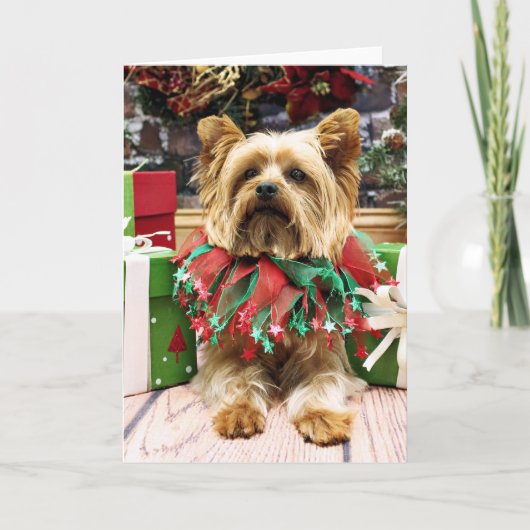 Cartes Pour Fêtes Annuelles Noël - Yorkie - maximum (Devant)