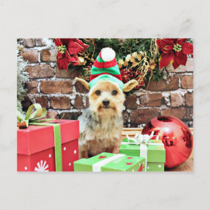Cartes Pour Fêtes Annuelles Noël - Yorkie - Vinnie #32
