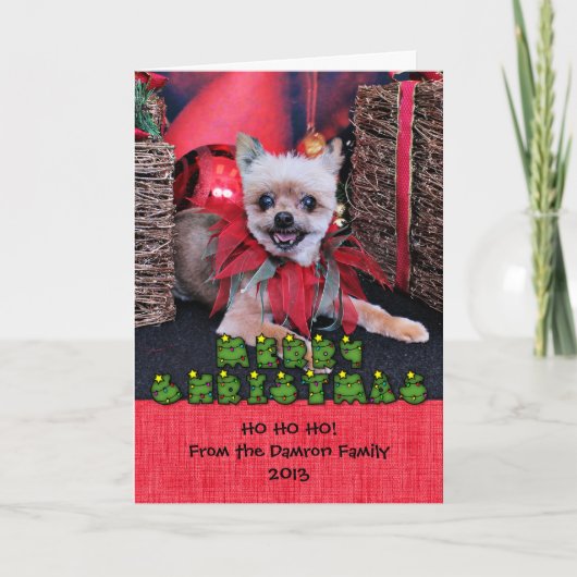 Cartes Pour Fêtes Annuelles Noël - Yorkie X - Lucky (Devant)