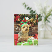 Cartes Pour Fêtes Annuelles Noël - Yorkshire Terrier - Vinnie (Debout devant)