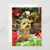 Cartes Pour Fêtes Annuelles Noël - Yorkshire Terrier - Vinnie (Devant / Derrière)