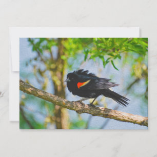 Cartes Pour Fêtes Annuelles Noir à ailes rouges
