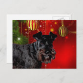 Cartes Pour Fêtes Annuelles Noir Schnauzer Noël (Devant / Derrière)
