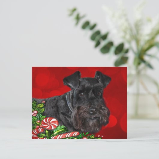 Cartes Pour Fêtes Annuelles Noir Schnauzer Noël (Debout devant)