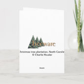 Cartes Pour Fêtes Annuelles North Carolina Christmas Trees (Dos)