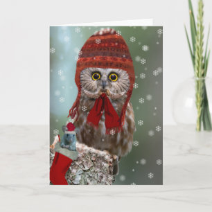 Cartes Pour Fêtes Annuelles Northern Saw-whet Owl Christmas