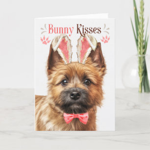 Cartes Pour Fêtes Annuelles Norwich Terrier Dog Bunny Oreilles pour Pâques